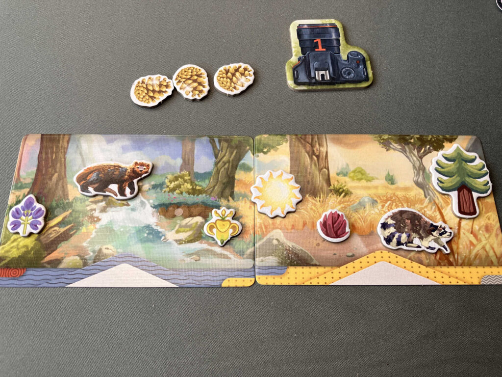 Klick! Eines der Fotos ist fertig und reiht sich ins Panorama ein.